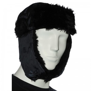 Wintermuts marine Siberia